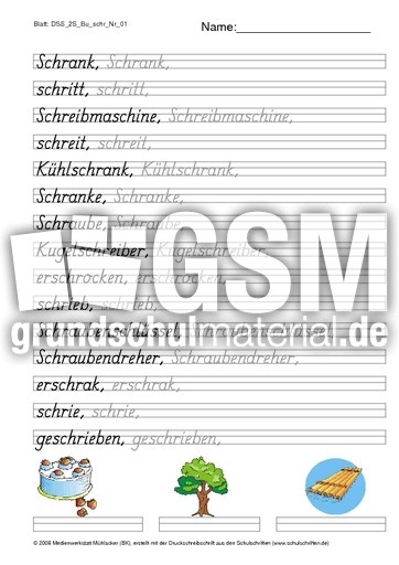DSS_2S_Bu_schr_Nr_01.pdf